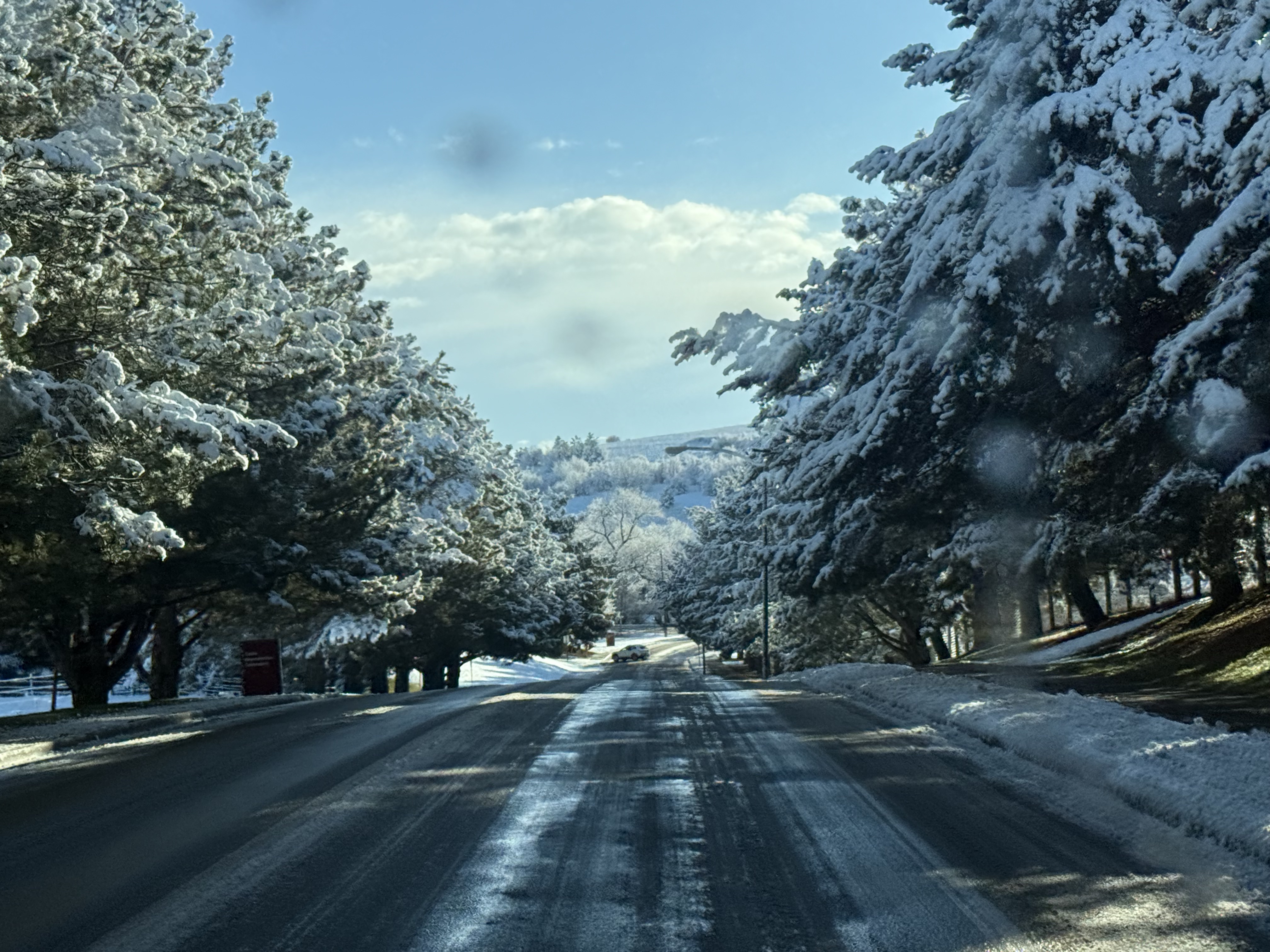 A snowey day in Pullman